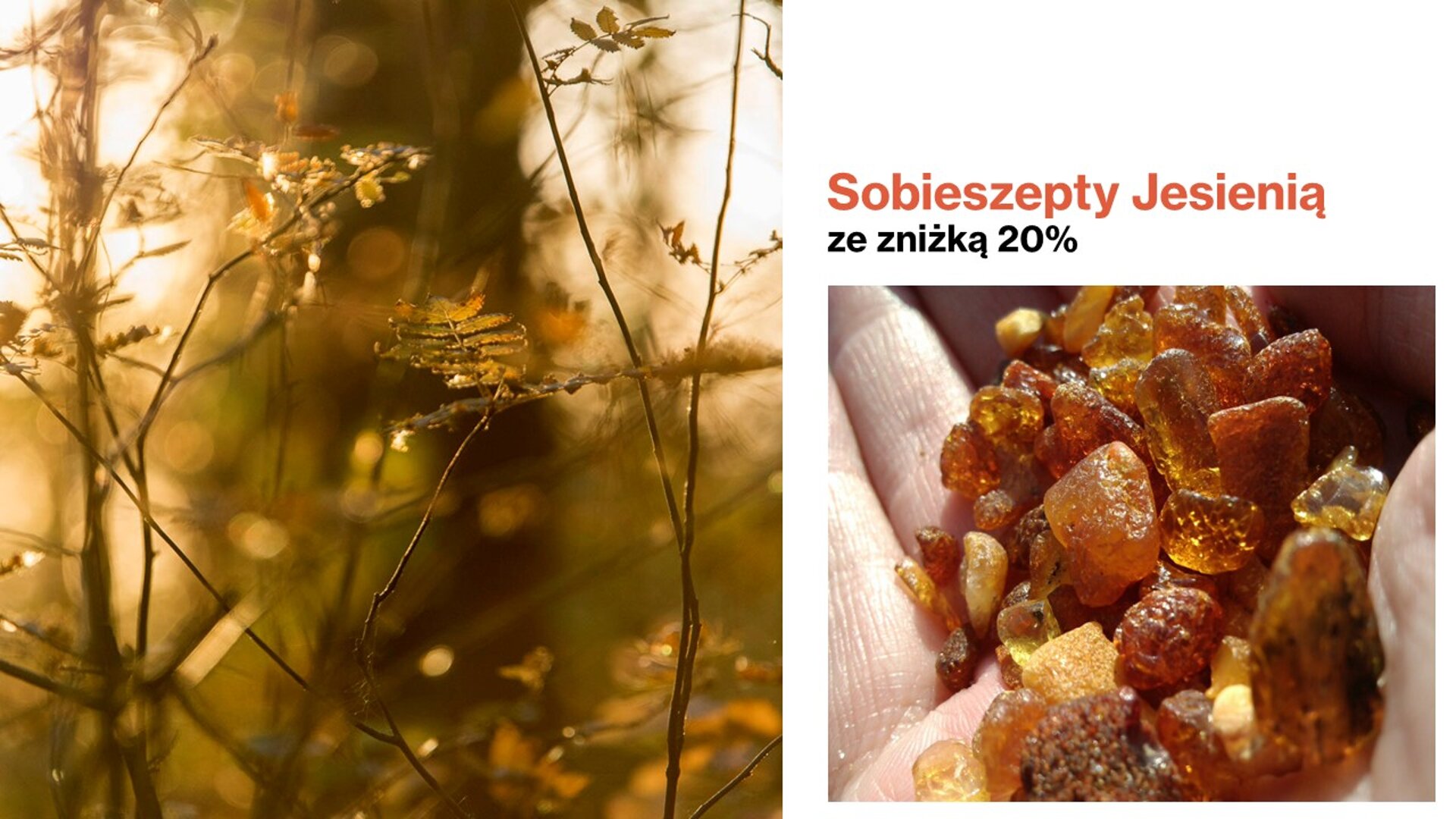 Tłumacz Przysięgły Języka Angielskiego Anna Staniurska - Zdjęcie 1